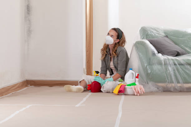 Reliable Mold Remediation contractor in Castalia, NC by WQB Mold Removal